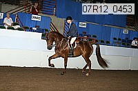 07r12_0453 thumbnail