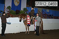 07r12_0459 thumbnail