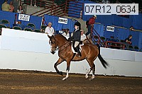 07r12_0634 thumbnail