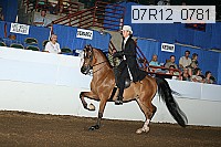 07r12_0781 thumbnail