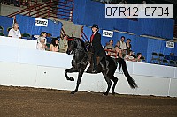 07r12_0784 thumbnail