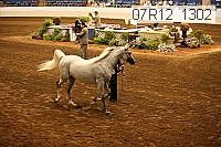 07r12_1302 thumbnail