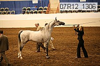 07r12_1306 thumbnail