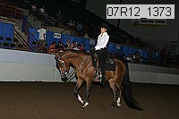 07r12_1373 thumbnail