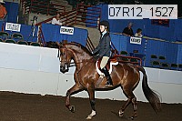 07r12_1527 thumbnail