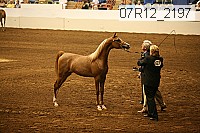 07r12_2197 thumbnail