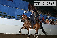 07r12_2543 thumbnail