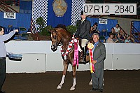 07r12_2840 thumbnail