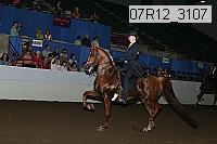 07r12_3107 thumbnail