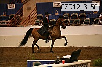 07r12_3150 thumbnail
