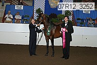 07r12_3252 thumbnail