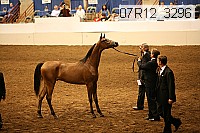 07r12_3296 thumbnail