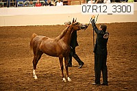 07r12_3300 thumbnail