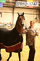 07r12_1747 thumbnail
