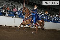 07r7_1322 thumbnail