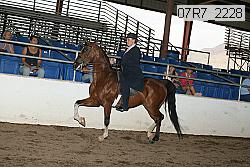 07r7_2228 thumbnail