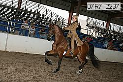 07r7_2237 thumbnail