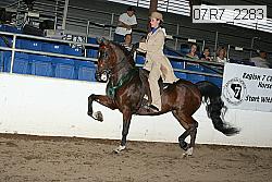07r7_2283 thumbnail