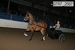 07r7_2587 thumbnail