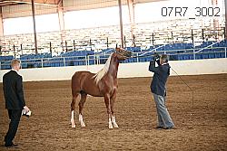 07r7_3002 thumbnail