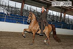 07r7_2898 thumbnail