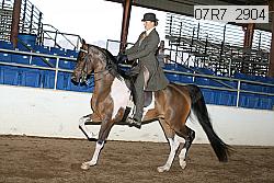 07r7_2904 thumbnail