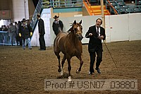 usn07_03880 thumbnail