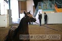 usn07_03882 thumbnail