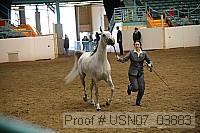 usn07_03883 thumbnail