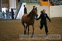 usn07_03884 thumbnail