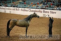 usn07_03888 thumbnail