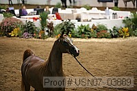 usn07_03889 thumbnail