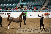 usn07_03890 thumbnail