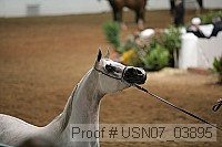 usn07_03895 thumbnail