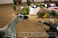 usn07_03896 thumbnail