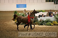 usn07_03975 thumbnail