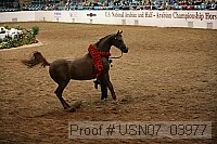 usn07_03977 thumbnail