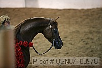 usn07_03978 thumbnail