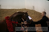 usn07_03980 thumbnail