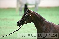 usn07_j11254 thumbnail