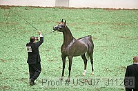 usn07_j11268 thumbnail