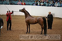 usn07_06082 thumbnail