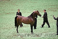 usn07_j13359 thumbnail