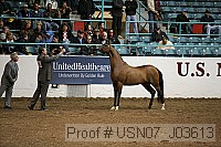 usn07_j03613 thumbnail