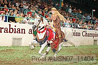 usn07_11404 thumbnail
