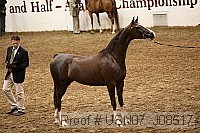 usn07_j08517 thumbnail