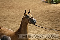 usn07_j08523 thumbnail