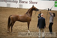 usn07_00746 thumbnail