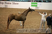 usn07_00749 thumbnail