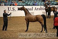 usn07_05279 thumbnail